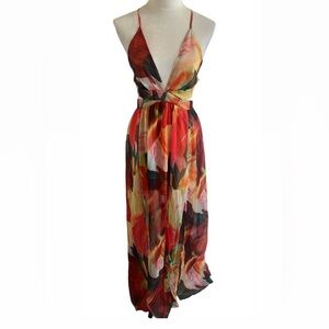 Fashion Nova Multicolor Maxi Dress